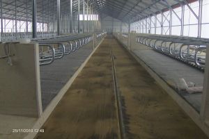 Kirchner Gussasphalt, Straßen- und Tiefbau GmbH - Referenzen Gussasphaltverlegung - Stallungen und Siloanlagen
