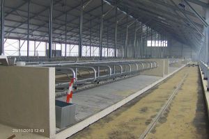 Kirchner Gussasphalt, Straßen- und Tiefbau GmbH - Referenzen Gussasphaltverlegung - Stallungen und Siloanlagen