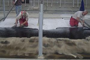 Kirchner Gussasphalt, Straßen- und Tiefbau GmbH - Referenzen Gussasphaltverlegung - Stallungen und Siloanlagen