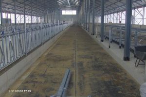 Kirchner Gussasphalt, Straßen- und Tiefbau GmbH - Referenzen Gussasphaltverlegung - Stallungen und Siloanlagen