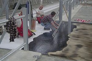 Kirchner Gussasphalt, Straßen- und Tiefbau GmbH - Referenzen Gussasphaltverlegung - Stallungen und Siloanlagen