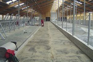 Kirchner Gussasphalt, Straßen- und Tiefbau GmbH - Referenzen Gussasphaltverlegung - Stallungen und Siloanlagen