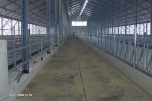 Kirchner Gussasphalt, Straßen- und Tiefbau GmbH - Referenzen Gussasphaltverlegung - Stallungen und Siloanlagen